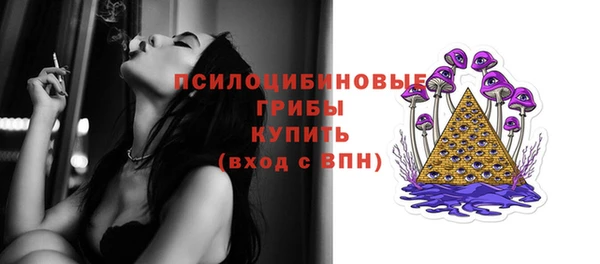 MDMA Бородино