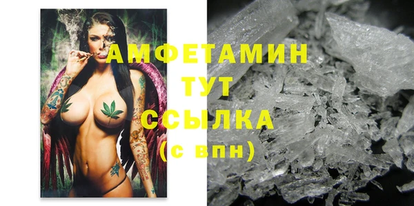 СК Бронницы